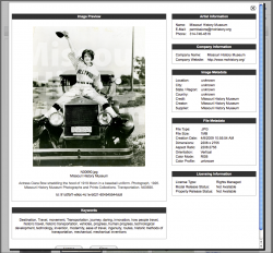 Missouri History Museum Professional Licensing Storefront, preview screen