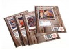Schavemaker., M. et al., Augmented Reality and the Museum Experience, Figure 6