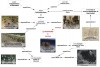 van Erp, M., et al., Automatic Heritage Metadata Enrichment with Historic Events, Figure 9