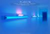 Dan Flavin: Constructed Light | The Pulitzer Foundation for the Arts