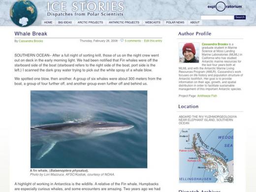 Ice Stories - Whale Break Dispatch