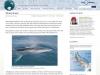 Ice Stories - Whale Break Dispatch