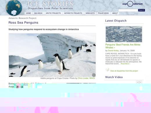 Ice Stories - Ross Sea Penguins Project Page