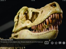 Please Touch the Exhibit iPad app Screenshot 1