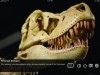 Please Touch the Exhibit iPad app Screenshot 1