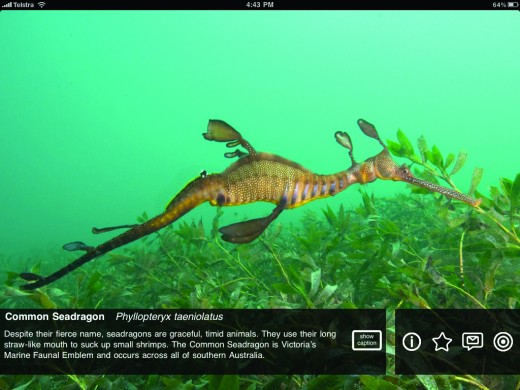 Please Touch the Exhibit iPad app Screenshot 2