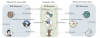 Kamura, T., et al., Building Linked Data For Cultural Information Resources In Japan: Figure 2