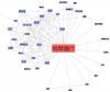 Kenderdine, S., and T. Hart,  Cultural Data Sculpting: Omni-spatial Visualization for Large Scale Heterogeneous Datasets, Fig 19