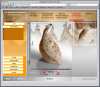 Laine-Zamojska, M., Virtual Museum and Small Museums: ViMuseo.fi Project: Figure 1