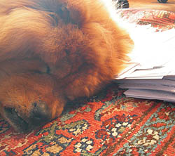 Maggie helps with MW2007