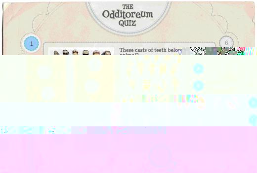 The Odditoreum Online Project - The Quiz
