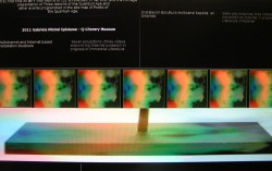 Multichannel screen of image S-T from the museum´s collection