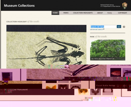 Home Page