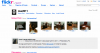 MW2011 on Flickr