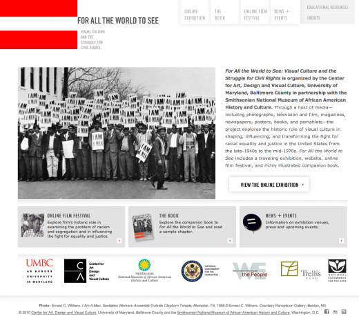 For All the World to See: Visual Culture and the Struggle for Civil Rights
