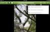 Sherrin, S., Release your local species into the iOS ecosystem: Figure 10