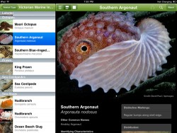 Sherrin, S., Release your local species into the iOS ecosystem: Figure 11 Sherrin, S., Release your local species into the iOS ecosystem: Figure 11