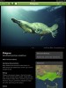 Sherrin, S., Release your local species into the iOS ecosystem: Figure 6