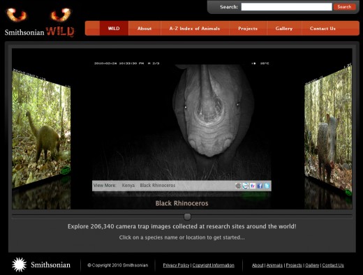 Smithsonian Wild Home