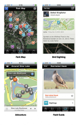 Golden Gate Park Field Guide