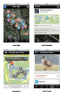 Golden Gate Park Field Guide